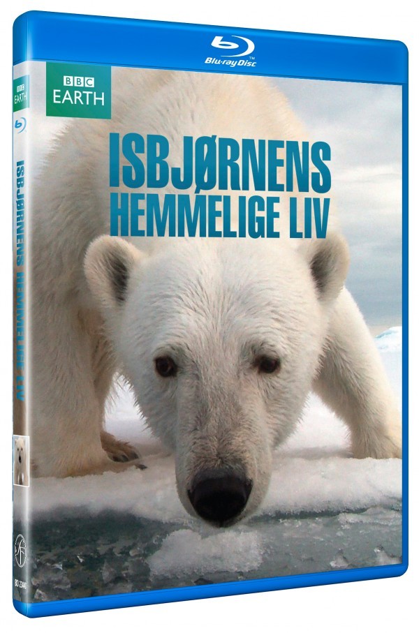 Isbjørnens Hemmelige Liv