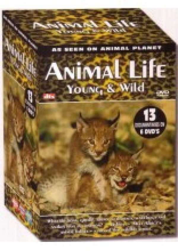 Køb Animal Life Box, Young & Wild