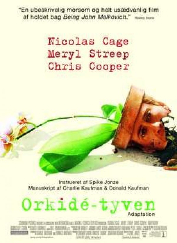Køb Orkide-tyven