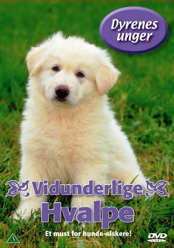 Køb Dyrenes unger Hundehvalpe