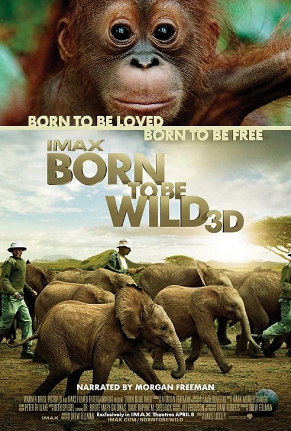 Køb Born to Be Wild