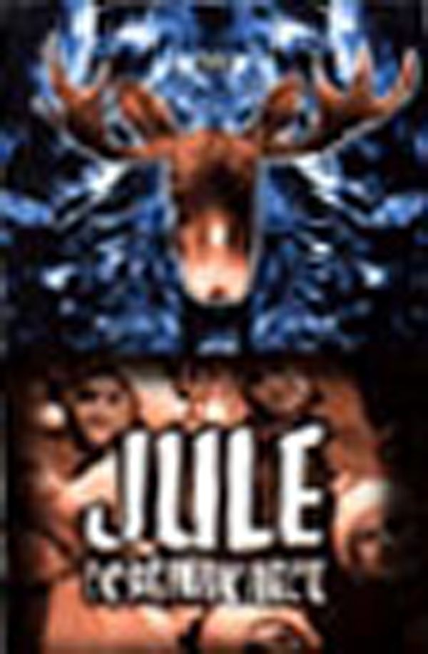Køb Juletestamentet