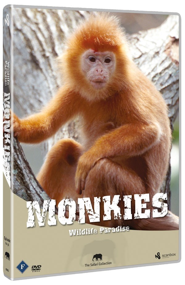 Køb Wildlife Paradise: Monkies