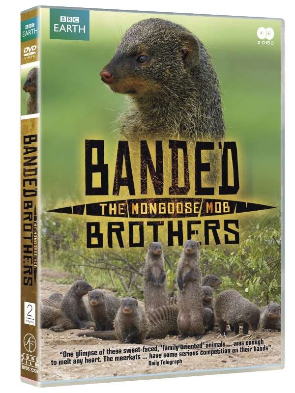 Køb BBC Earth: Banded Brothers