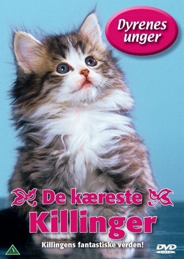 Køb Dyrenes Unger - Kattekilli