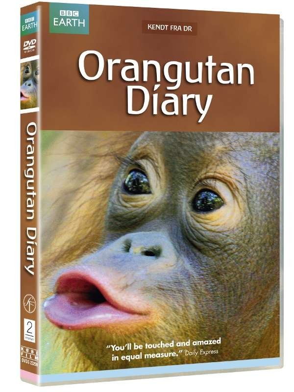 Køb BBC Earth: Orangutan Diary